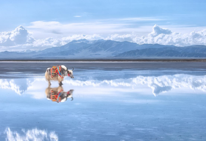 抖音最火的旅游景点排名 第五名被叫做天空之城，你去过几个呢