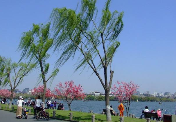 西湖有哪些著名的景点？杭州西湖十大景点介绍