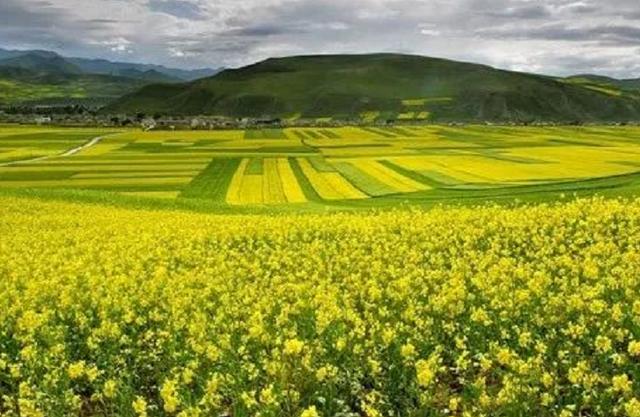 青海最不值得去的十大景点（青海最值得去的12个地方）