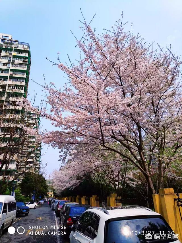 事业单位的人员生大病之后，不能胜任目前的工作，没到退休年龄，后半生怎么办？