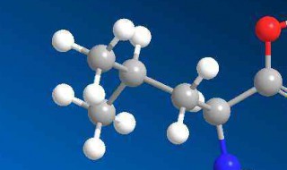 氨基酸作用作用与功效 氨基酸对人体的好处