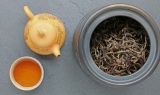 金枝玉叶茶什么季节喝好