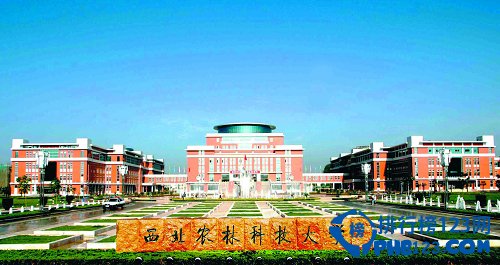 中国大学情怀排行榜30强